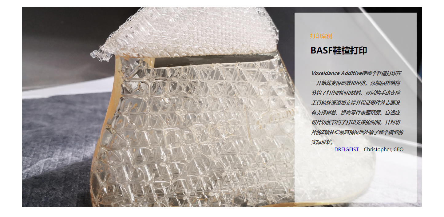 VoxelDance 漫格科技