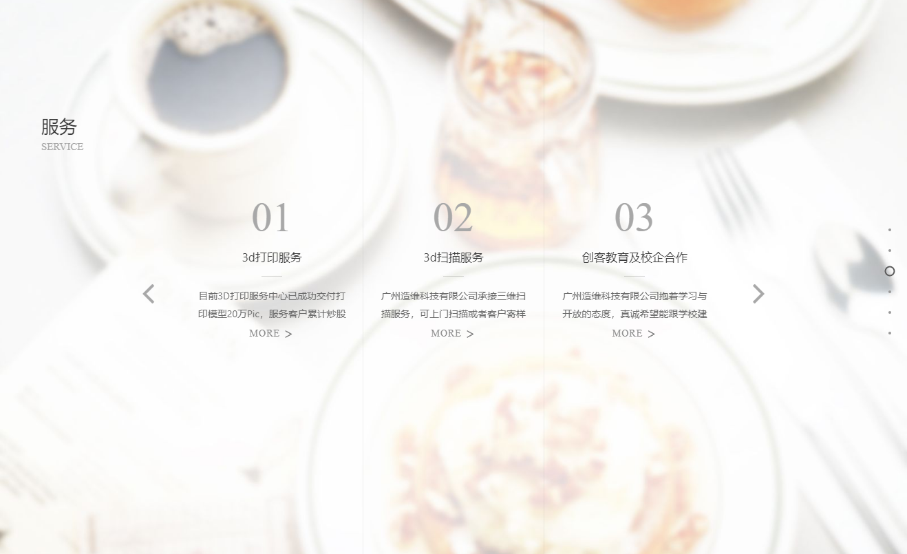 ZAOWEI 广州造维科技