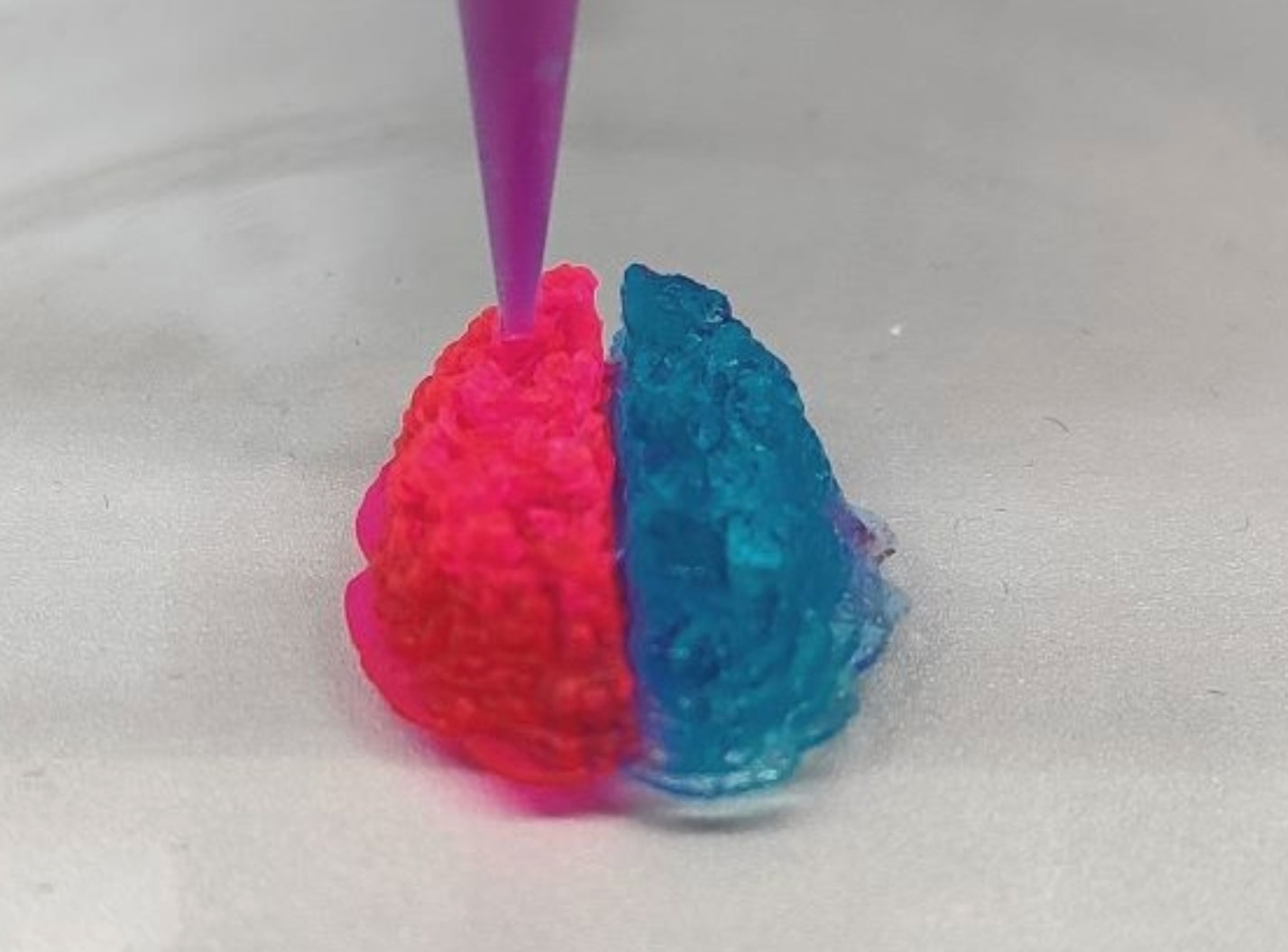 麦吉尔大学的科学家们研究使用生物医学3D打印技术改进生物医学植入物