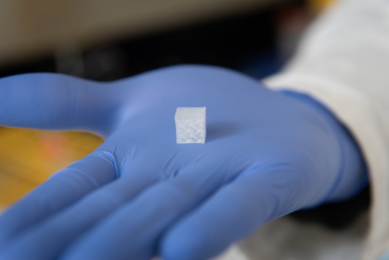 维克森林再生医学研究所首次将生物打印组织送入太空