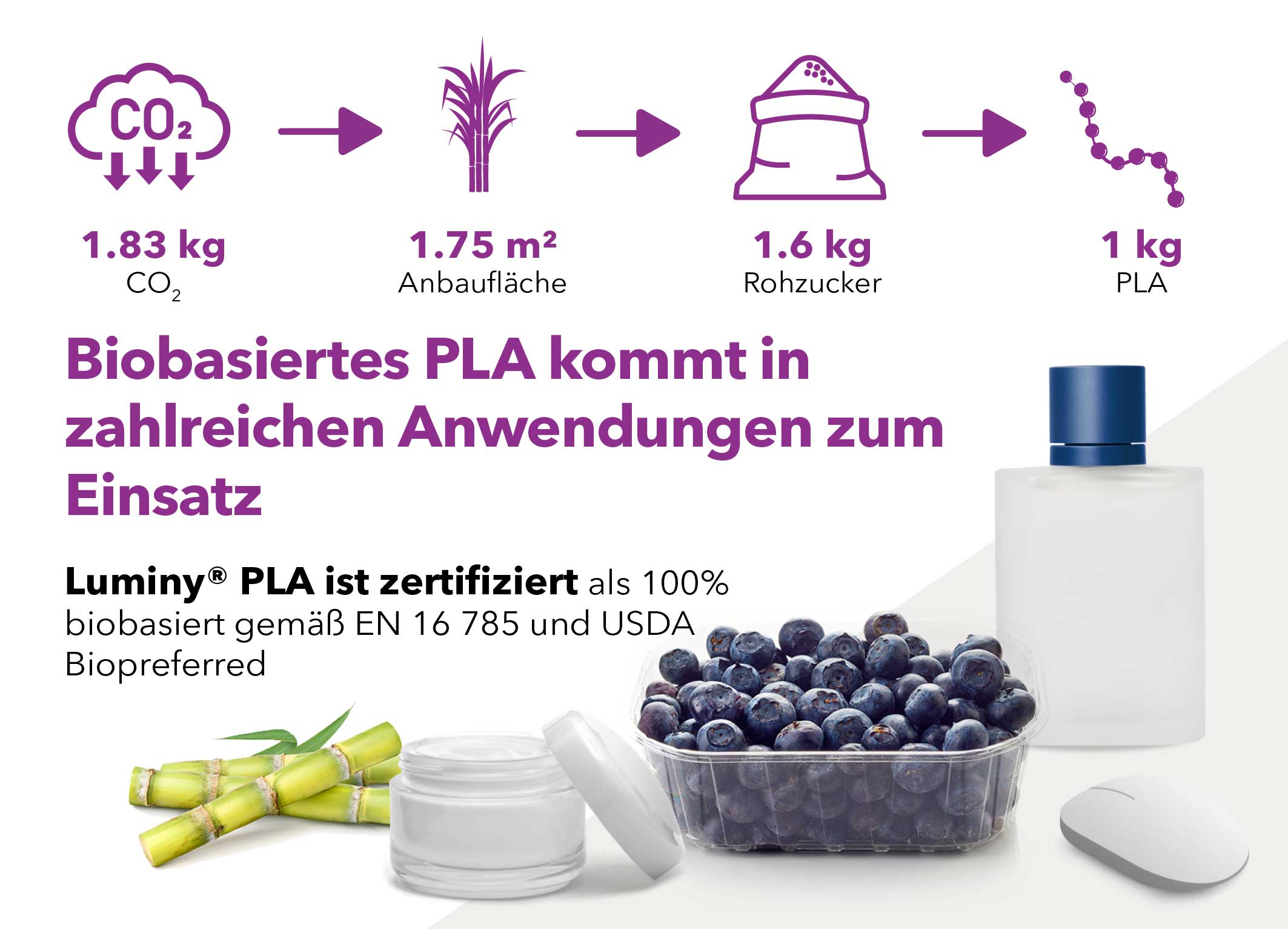 TotalEnergies Corbion 的生物塑料符合欧盟 (EU) 分类法规的严格标准