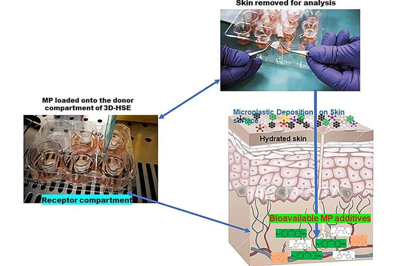 科学家们利用3D打印模型证明皮肤可吸收有毒阻燃剂
