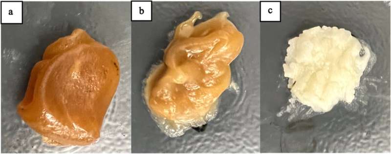 大豆生物柴油废弃物可转化为适合3D打印的共聚物