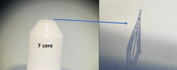 研究人员利用3D打印技术制造出用于光波操控的光子灯笼