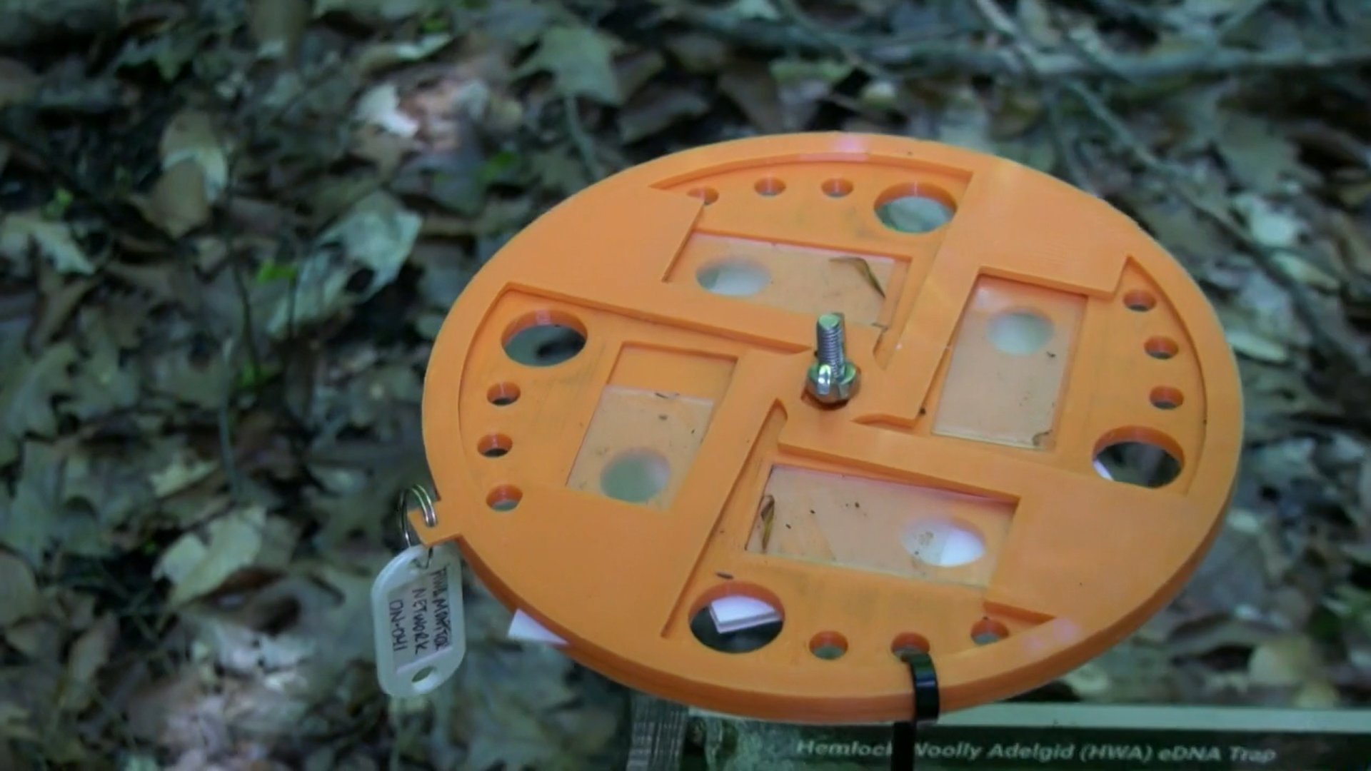 安大略省采用3D打印陷进装置追踪入侵物种