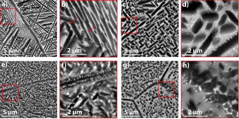 墨尔本理工大学开发出用于增强增材制造的新型贝氏体钛合金 (Ti-Cu-Fe)