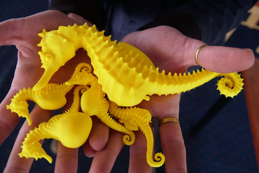 塔斯马尼亚海马世界通过3D打印模型改善视力低下游客的可访问性