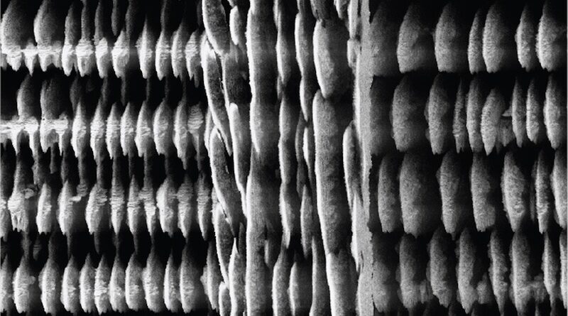 瑞典皇家理工学院研究人员使用新型3D打印技术增强微型储能解决方案