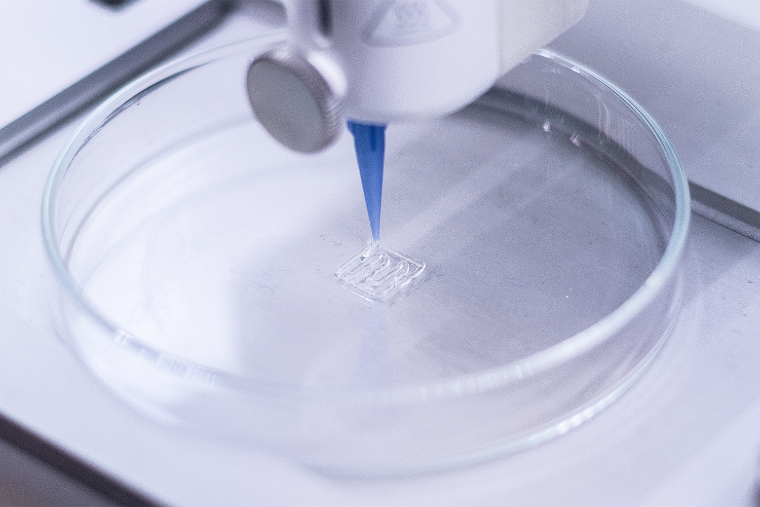 德克萨斯大学开发了一种3D打印股骨模型可以改变骨骼修复和外科手术训练