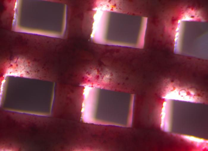 加泰罗尼亚生物工程研究所 (IBEC) 开发3D打印支架或将彻底改变骨修复