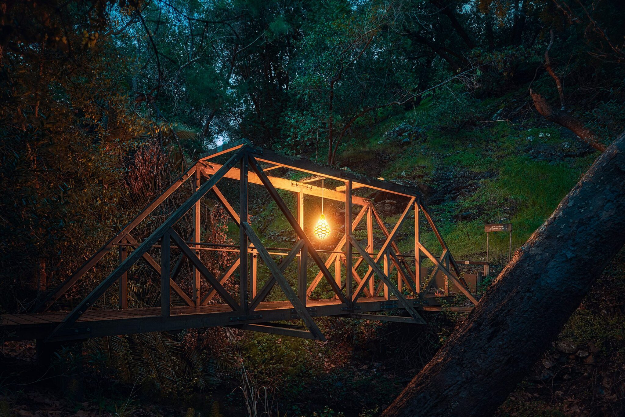 Mickus Projects推出了一款全新的3D打印吊灯