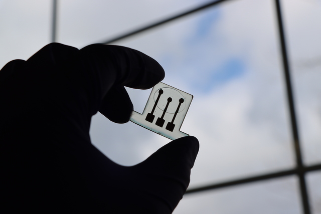 一种新型3D打印传感器可通过牛奶样本分析检测牛的亚临床性低钙血症 (SCH)