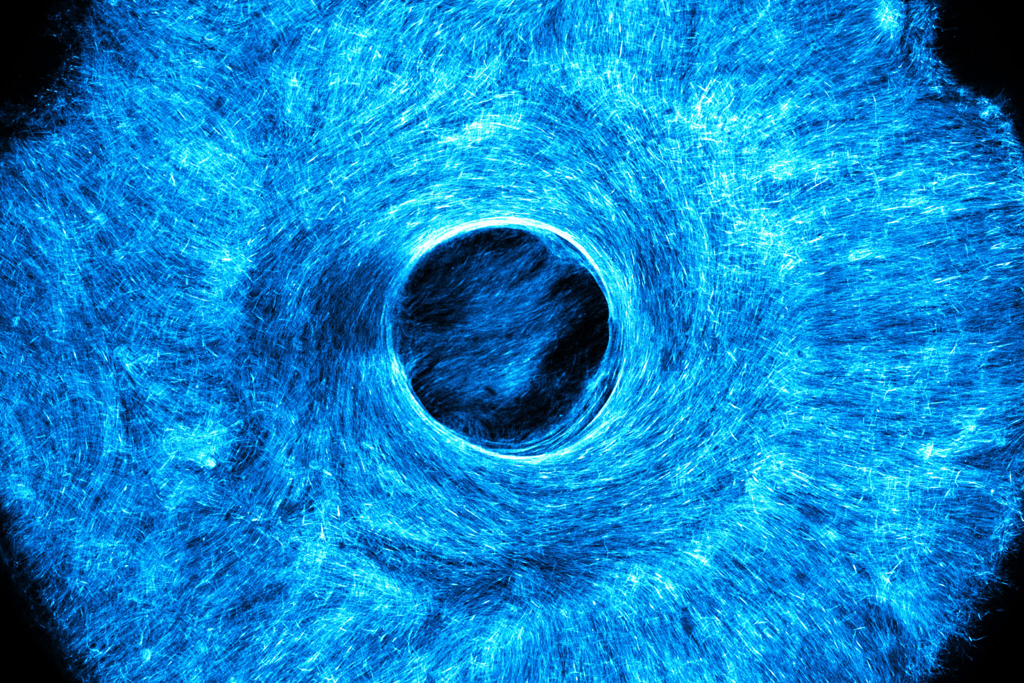 麻省理工学院的工程师们开发出了一种新方法 可使软机器人能够实现多向运动