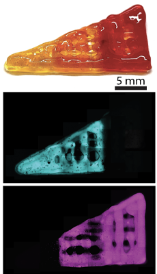 宾夕法尼亚大学发明了一种新的3D打印水凝胶有望用于治疗半月板损伤