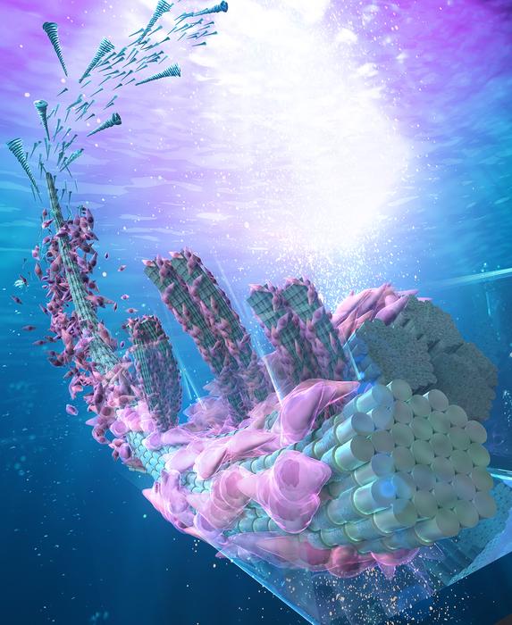 横滨国立大学 (YNU) 的研究人员开发了一种利用流体设备和3D打印技术