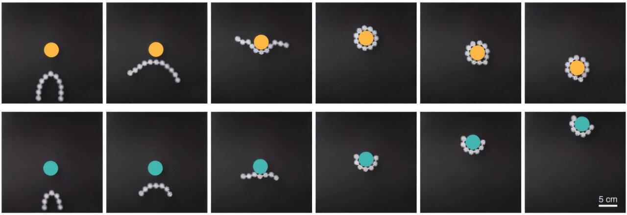 研究人员开发出一种名为“link-bots”的新型软体机器人系统 由3D打印的厘米级粒子组成