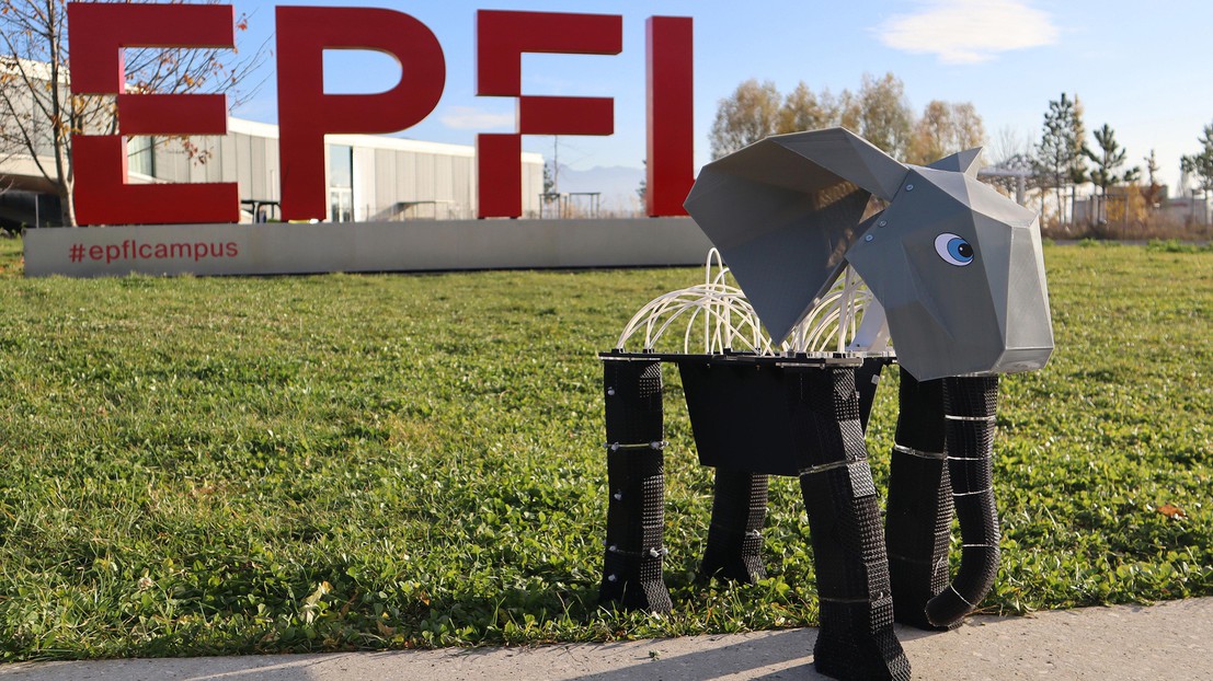 EPFL研究人员利用单一泡沫材料开发机器人可编程晶格结构