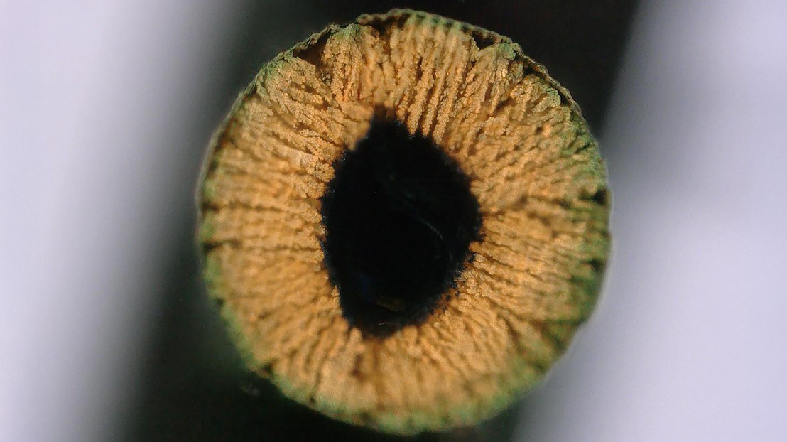 洛桑联邦理工学院（EPFL）开发出用于致密金属和陶瓷物体的新型3D打印方法