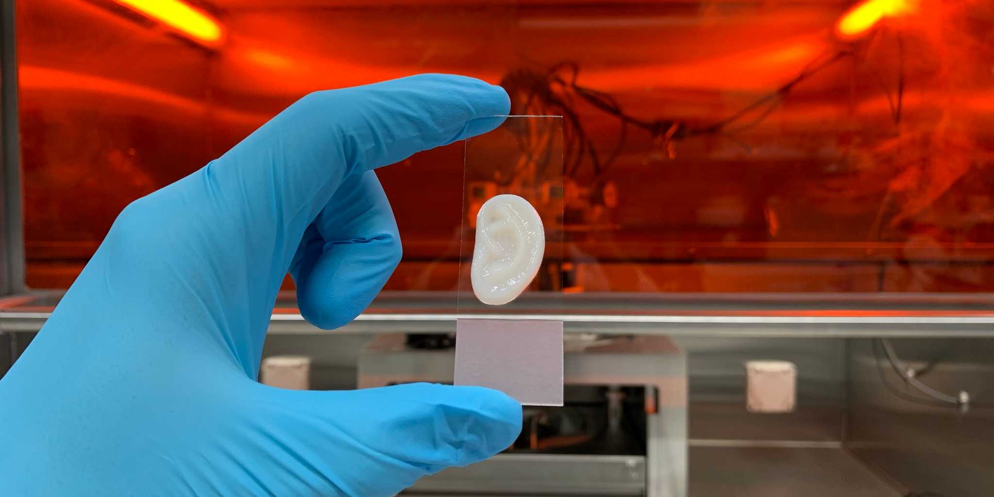 研究人员开发出3D打印实验室培育的耳软骨