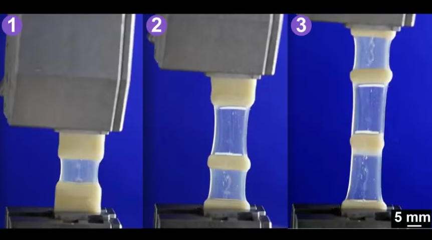 CRAFT 方法可实现3D打印中硬度和透明度的像素级控制