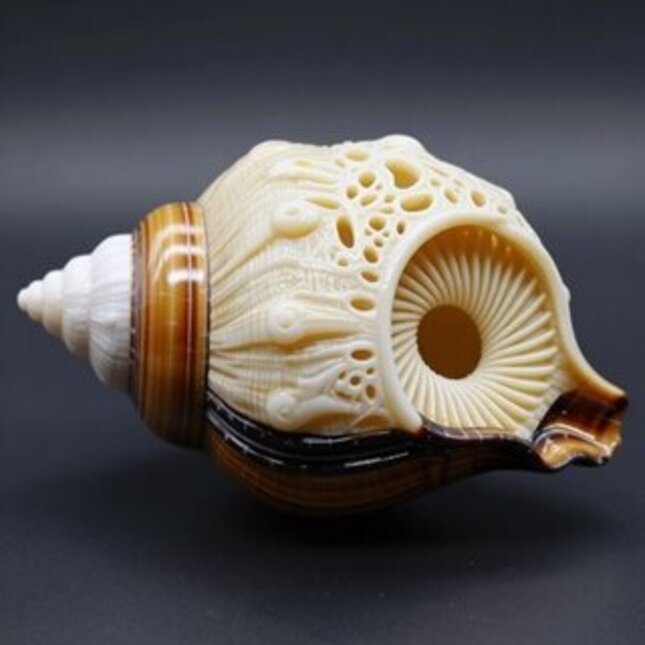 埃因霍温理工大学与 Motion Imager 合作开发用于复杂制造的体积式3D打印技术