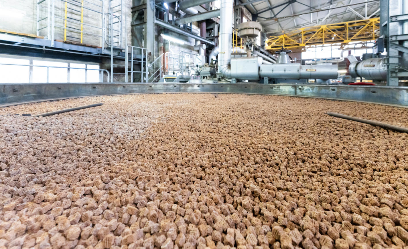 巴斯夫在路德维希港启动全球首个工业规模3D打印催化剂工厂