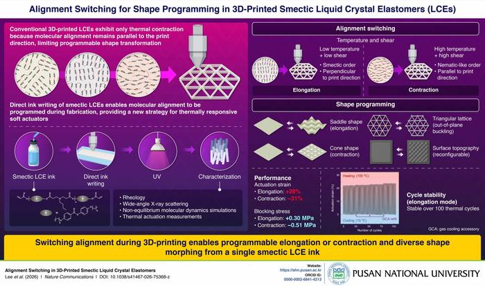 釜山国立大学团队研发出一种可用于3D打印的墨水使软致动器能够伸缩自如