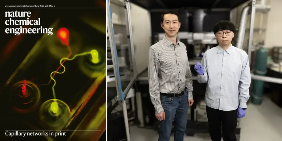 圣母大学的研究人员利用3D打印技术制造出比头发丝还细的毛细血管